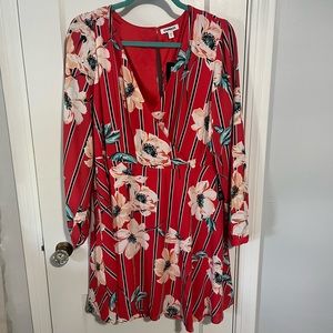 NWT Express size Large dress